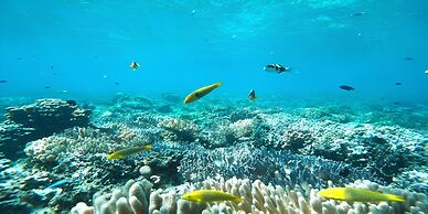 Churaumi On The Beach Motobu