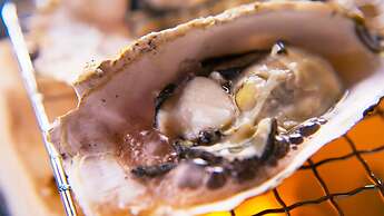 Hotel Stellacote Taiankaku