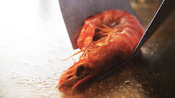 Hotel Stellacote Taiankaku