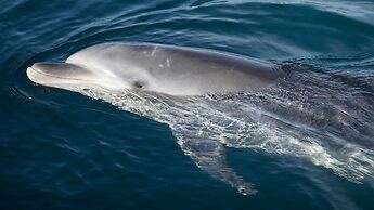 Hotel Stellacote Taiankaku