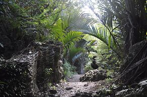 Adrift In Golden Bay