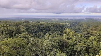 Dave Parker's Eco Lodge