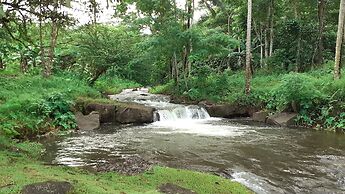 Dave Parker's Eco Lodge