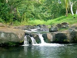 Dave Parker's Eco Lodge