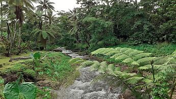 Dave Parker's Eco Lodge