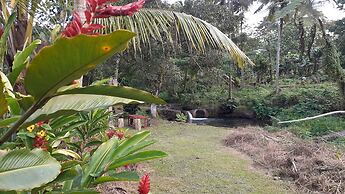 Dave Parker's Eco Lodge