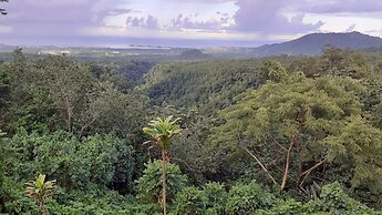 Dave Parker's Eco Lodge