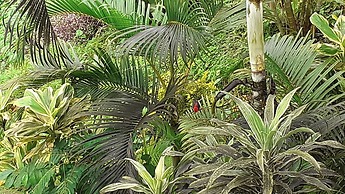 Dave Parker's Eco Lodge