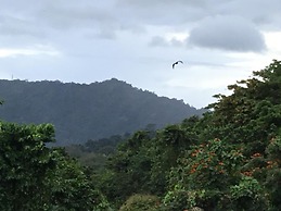 Dave Parker's Eco Lodge