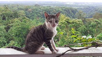 Dave Parker's Eco Lodge