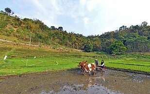 Grand Whiz Hotel Trawas