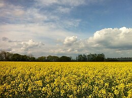 Obihiro Yachiyo Youth Hostel