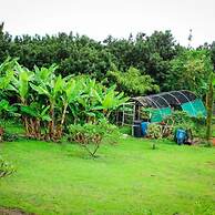 Banyan Tree Sanctuary