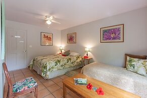 Banyan Tree Sanctuary