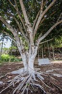 Banyan Tree Sanctuary