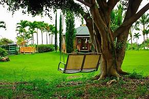 Banyan Tree Sanctuary