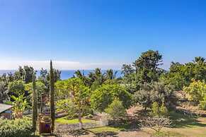 Banyan Tree Sanctuary