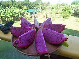 Banyan Tree Sanctuary