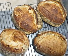 Amun Ini Beach Resort & Spa