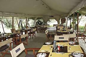 Mara Bush Camp