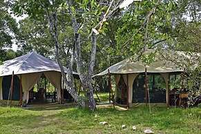 Mara Bush Camp