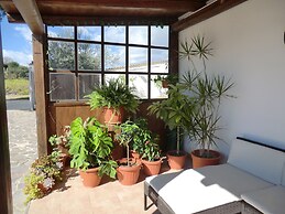 B&B Mediterraneo Mare e Sole