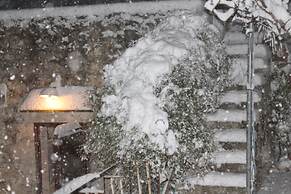 Le due Palme - Il Paradiso di Adamo