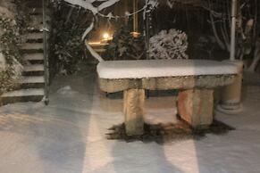 Le due Palme - Il Paradiso di Adamo