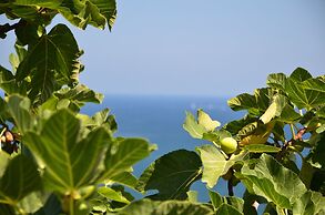 Blue Island Villa Caterina