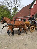 Holtegaard Bed & Breakfast