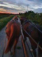 Holtegaard Bed & Breakfast