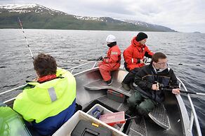 Topcamp Havblikk - Helgeland