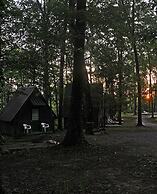 Pandora's Forest - Adults Only