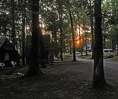 Pandora's Forest - Adults Only