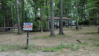 Pandora's Forest - Adults Only