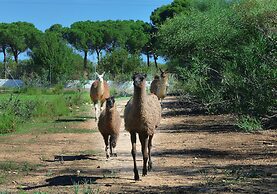 Hotel Rurale Orti di Nora & SPA
