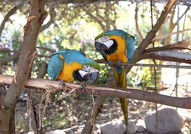 Hotel Rurale Orti di Nora & SPA