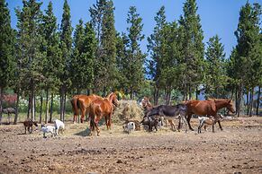 Hotel Rurale Orti di Nora & SPA