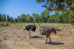 Hotel Rurale Orti di Nora & SPA