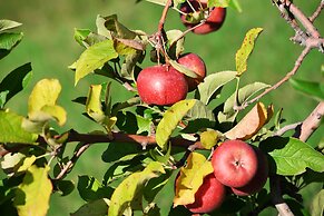 Hotel Rurale Orti di Nora & SPA