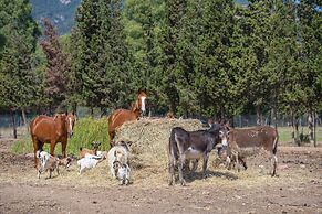 Hotel Rurale Orti di Nora & SPA