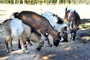 Hotel Rurale Orti di Nora & SPA