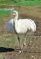 Hotel Rurale Orti di Nora & SPA