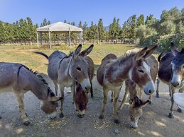 Hotel Rurale Orti di Nora & SPA