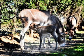 Hotel Rurale Orti di Nora & SPA