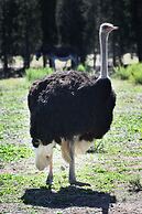 Hotel Rurale Orti di Nora & SPA