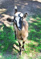 Hotel Rurale Orti di Nora & SPA