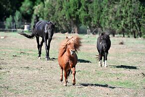 Hotel Rurale Orti di Nora & SPA