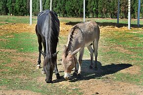 Hotel Rurale Orti di Nora & SPA