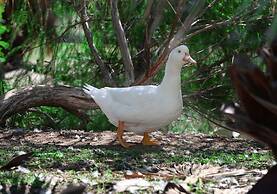 Hotel Rurale Orti di Nora & SPA